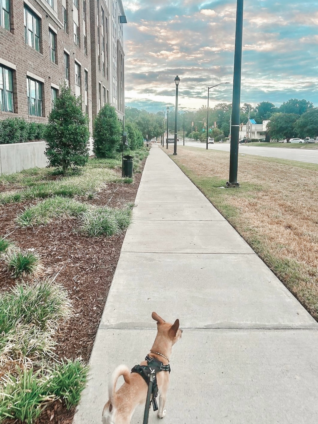 Pet friendly? Check! \u2705\n\ud83c\udf1fWe've got space for you & your fur baby! \n\n\ud83d\udcf2give us a call to see how you can get a $480 gift card\ud83d\udc40\ud83e\udd2d\n\n