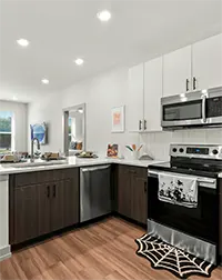 Student kitchen showing high-end quartz countertops and stainless steel appliances