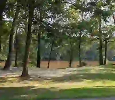 Tar River Park Walkway